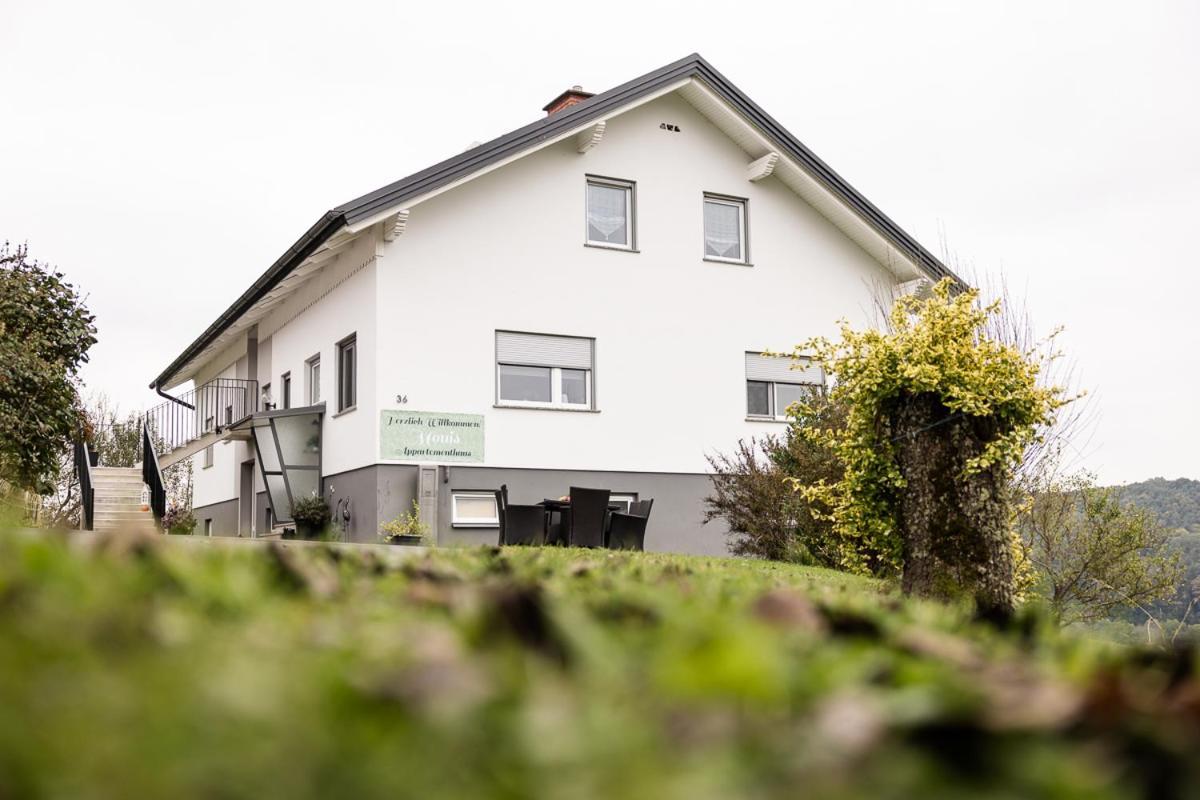 Monis Appartementhaus Unterlamm  Екстериор снимка